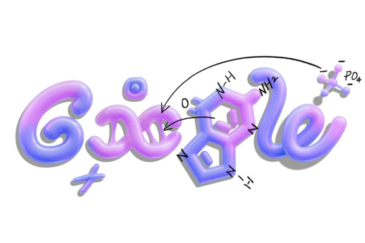 Google Doodle 13 November