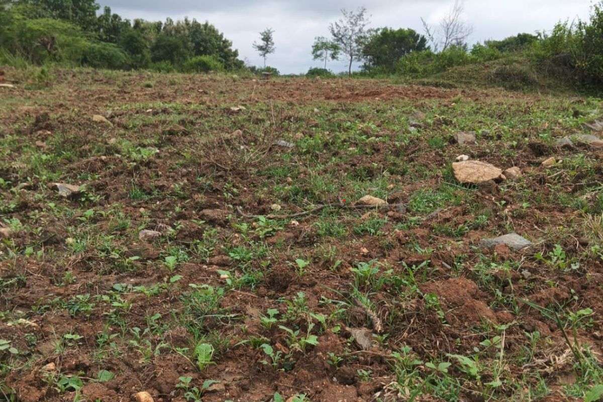 Hazaribagh Land Dispute