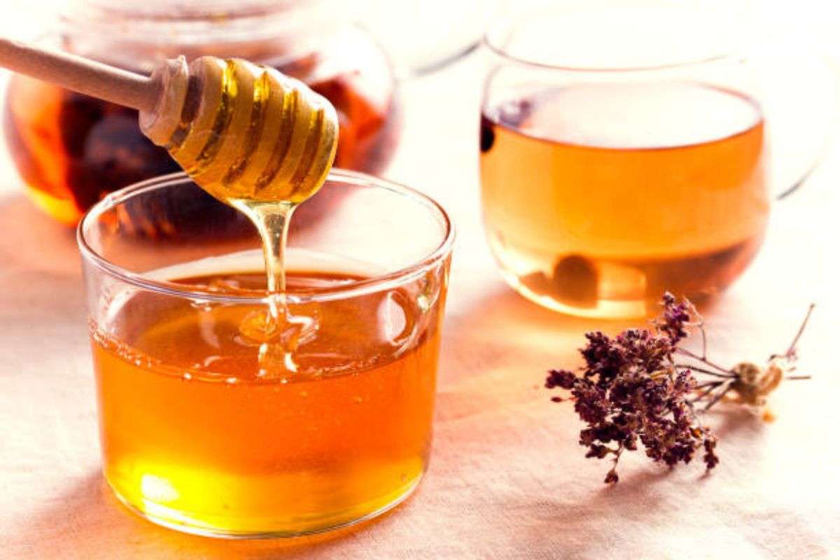 Honey is a cure for many diseases