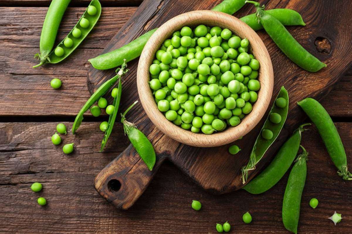 How To Store Green Peas For Long Time: सर्दियों के मटर सालभर कैसे रखें फ्रेश? जानिए आसान और असरदार तरीके 1 How To Store Green Peas In Fridge For Long Time?