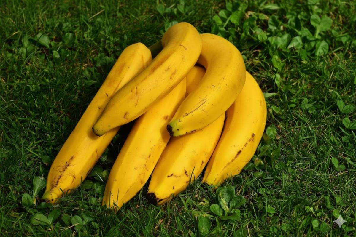 How To Store Bananas For A Long Time Min