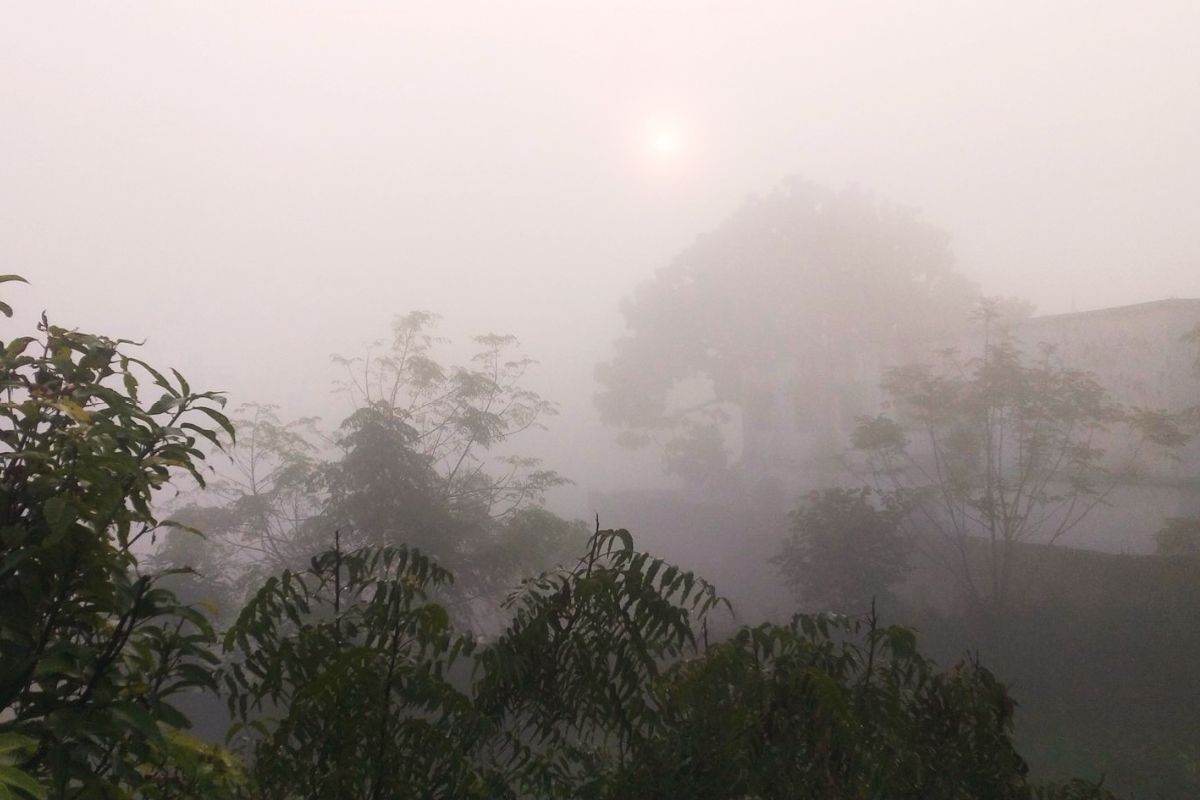 Jharkhand Ka Mausam Weather Forecast