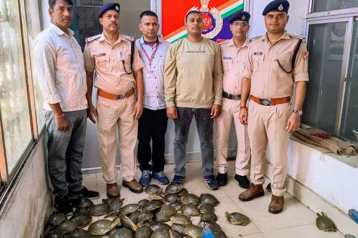 Jharkhand Turtle Smuggling