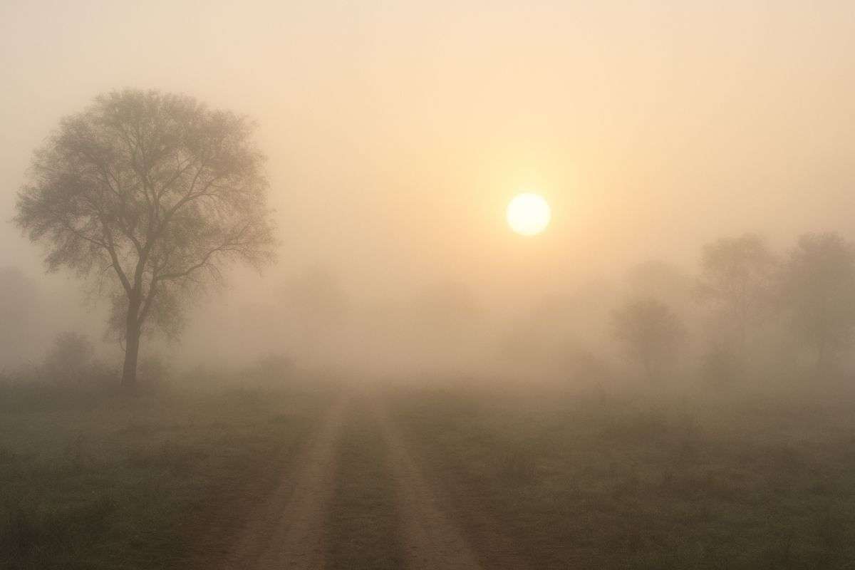Jharkhand Weather Forecast