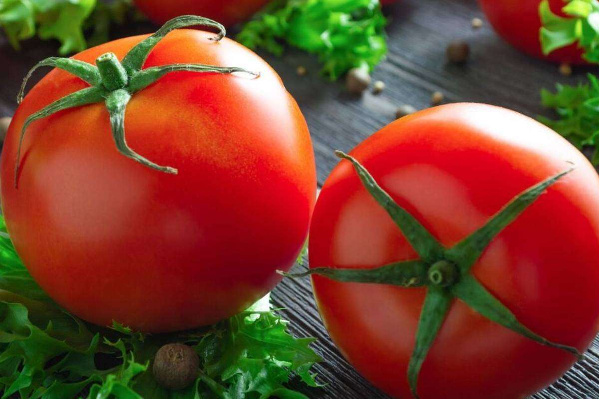 Tomato Storage Tips: नहीं गलेंगे एक भी टमाटर, स्टोर करने के लिए अपनाएं ये आसान तरीके 1 Tomato Storage Tips: