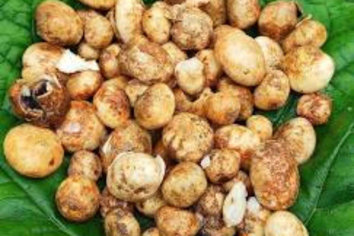 Rugra mushroom dish – seasonal wild mushrooms cooked in Jharkhand tribal style.