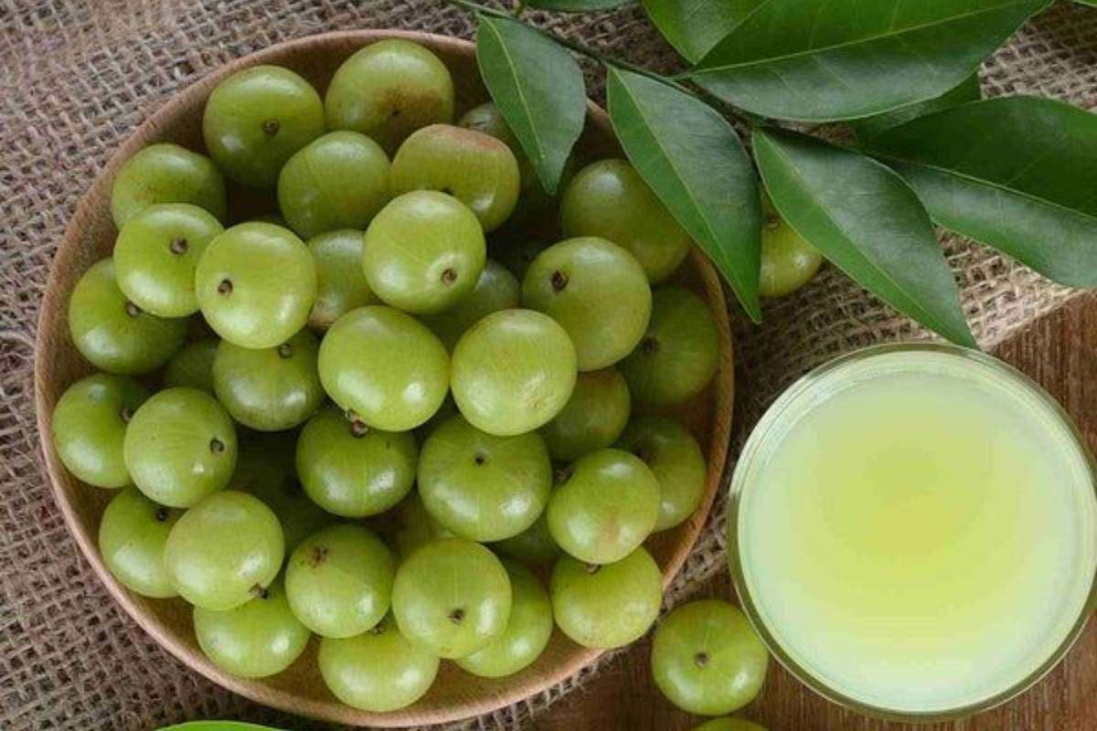 Amla Storage Tips: आंवला स्टोर करने के आसान तरीके - महीनों तक रहेगा हरा और ताजा, नहीं पड़ेगा एक भी दाग 1 How To Preserve Amla | Amla Storage Tips