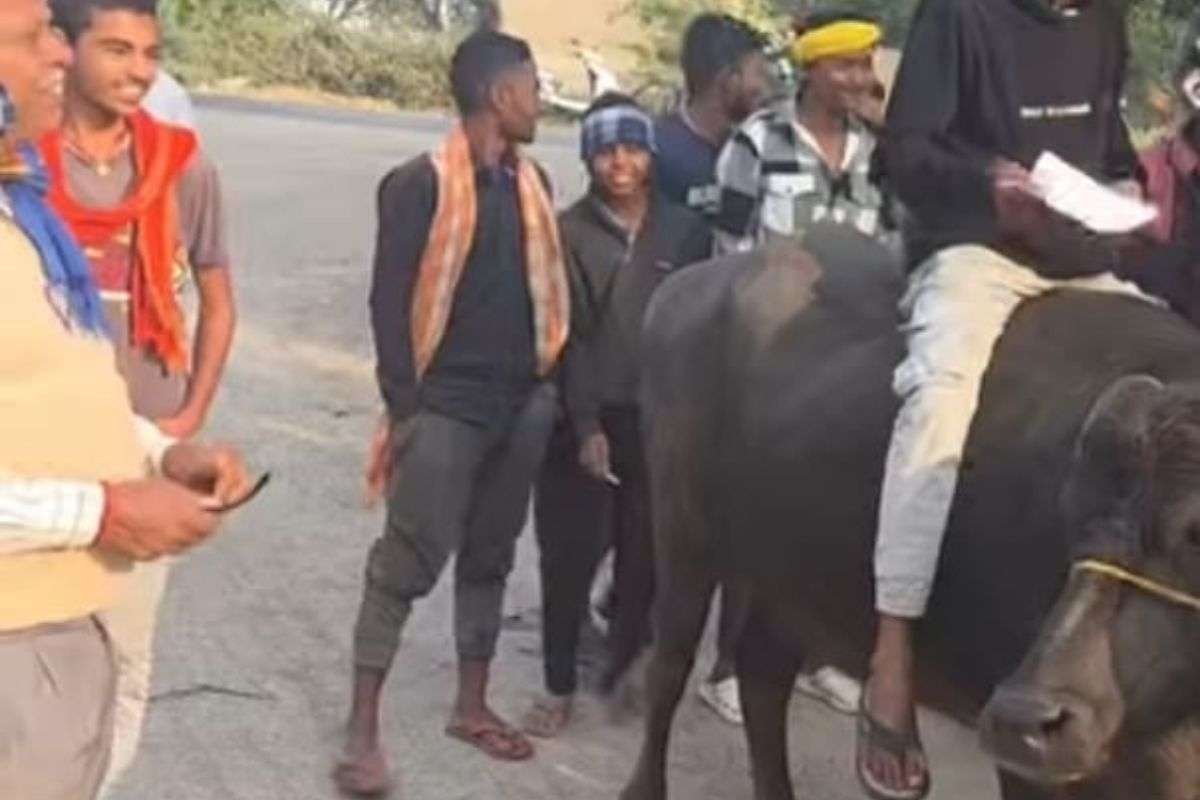 Voter rode a buffalo to cast his vote