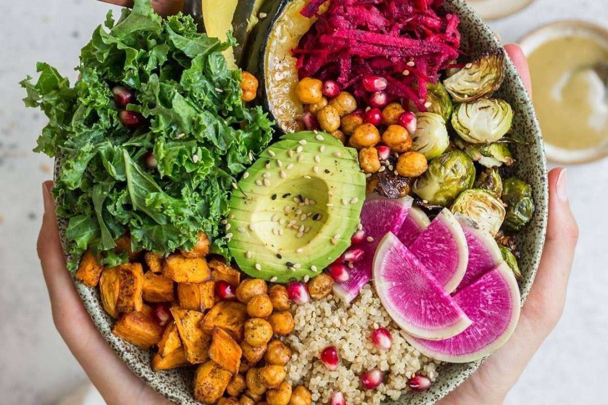 Winter Special Green Salad Recipe: सर्दियों में सुबह खाएं 5 सब्ज़ियों से बना हेल्दी ग्रीन सलाद - इसे खाने से शरीर बनेगा फुर्तीला और एनर्जेटिक 3 Green Salad Recipe