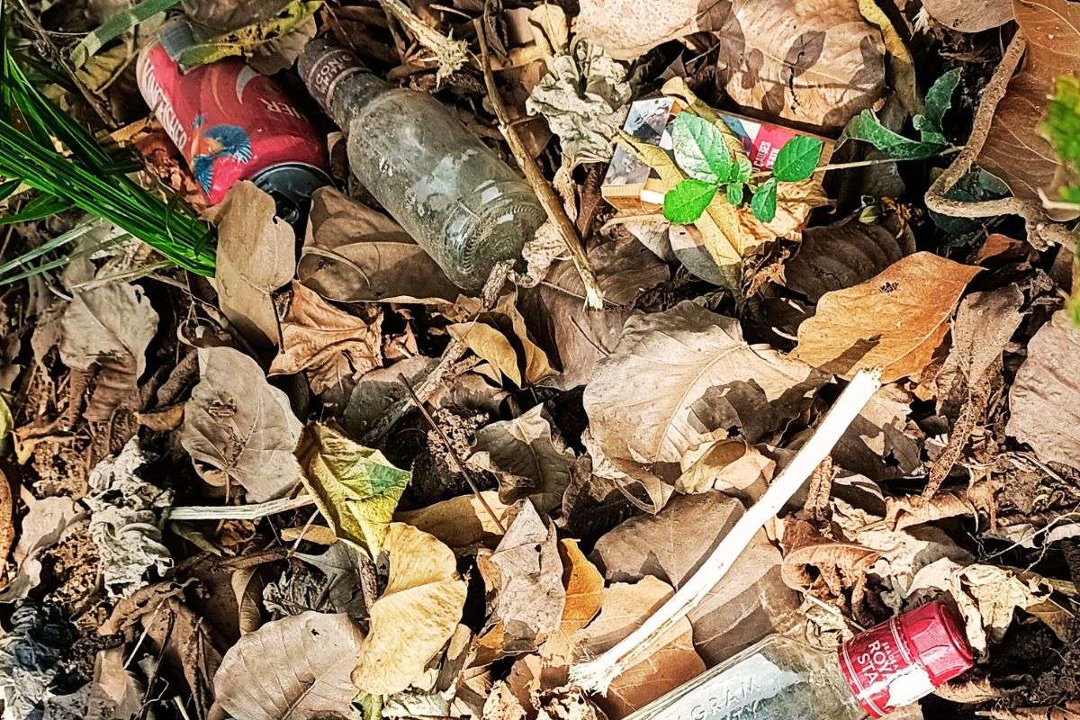 Dhanbad News Bottle Of Wines In School Baliyapur