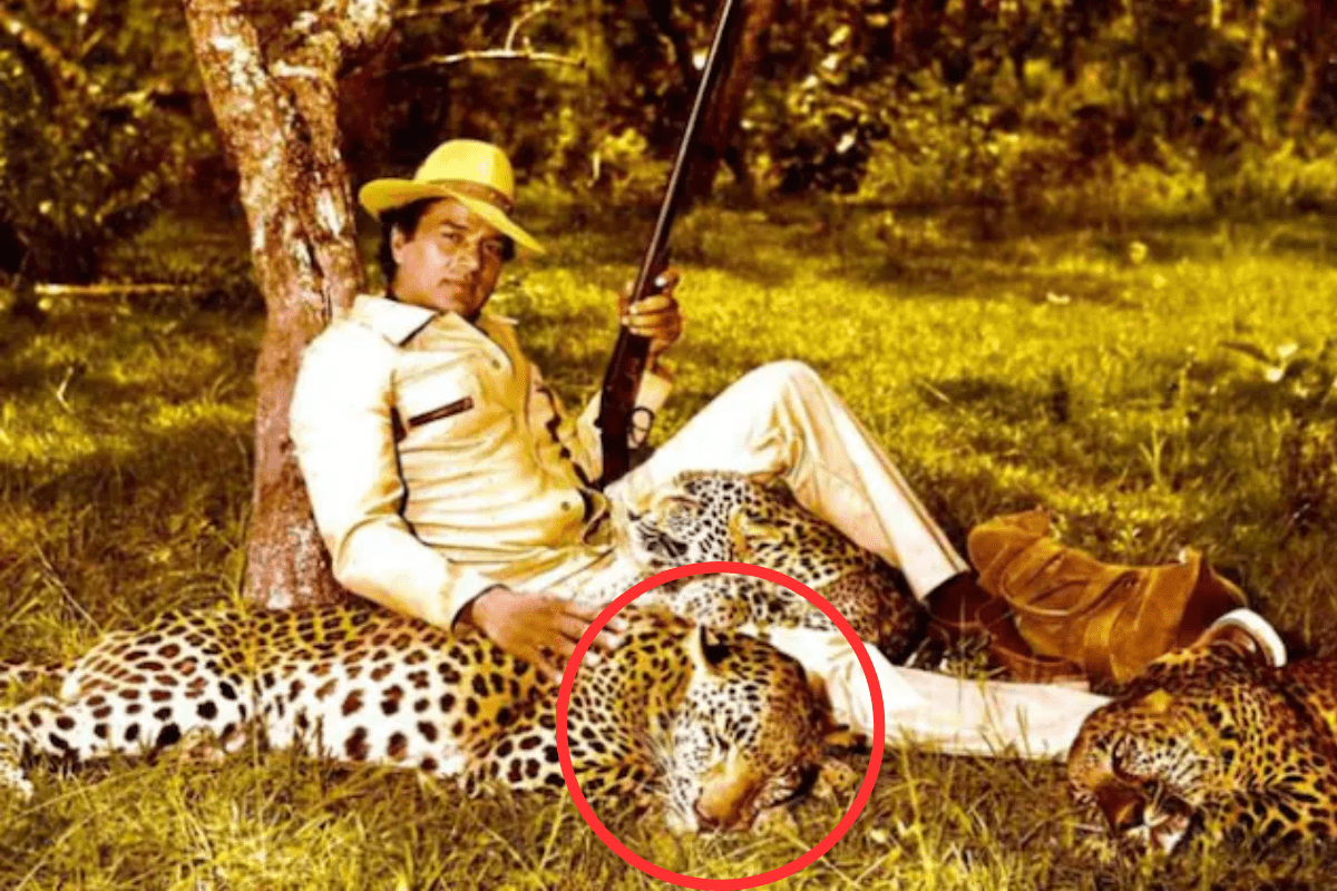 dharmendra death body double stunt danger cheetah