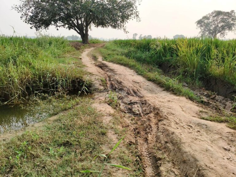 अहियापुर- मौआरी सड़क जर्जर,आवागमन मुश्किल