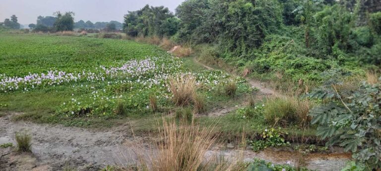 चुनावी मुद्दा, प्रखंड के 15 महादलि के लिए नहीं है श्मशान घाट