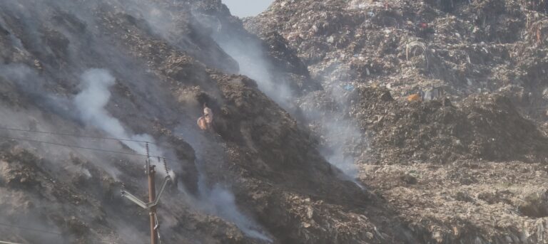 झिरी का कचरा डंपिग यार्ड बना जानलेवा