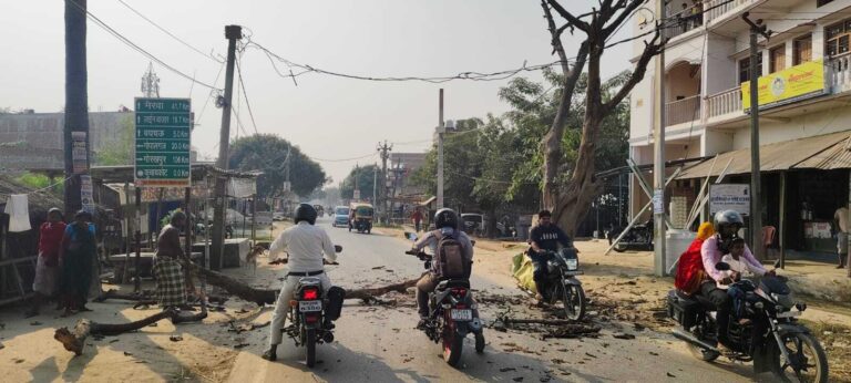 सूखे पेड़ की डाली गिर जाने से भठवा-कुचायकोट मार्ग पर आवागमन बाधित
