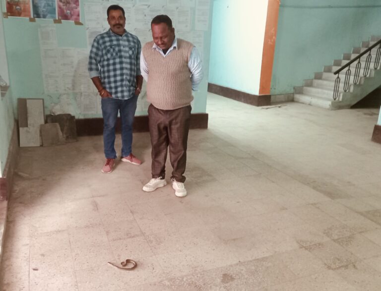 फुलवरिया प्रखंड कार्यालय में कोबरा मिलने से मचा हड़कंप