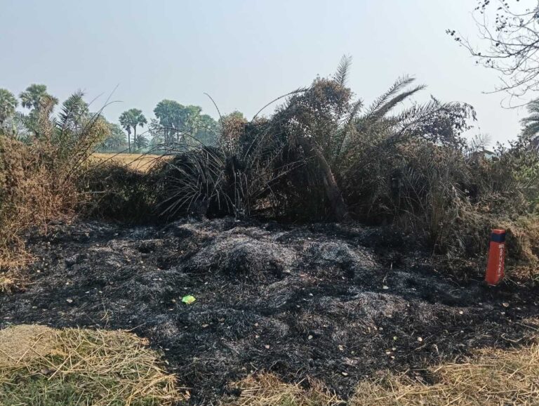 खेतों में पुआल जलाये जाने से पर्यावरण को नुकसान