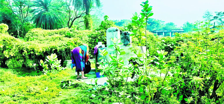 East Singhbhum News : स्वच्छ पेयजल हुआ सपना, भटक रहे लोग