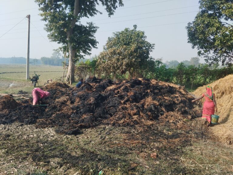 10 एकड़ धान की फसल में लगी आग, लाखों की क्षति, किसान हताश