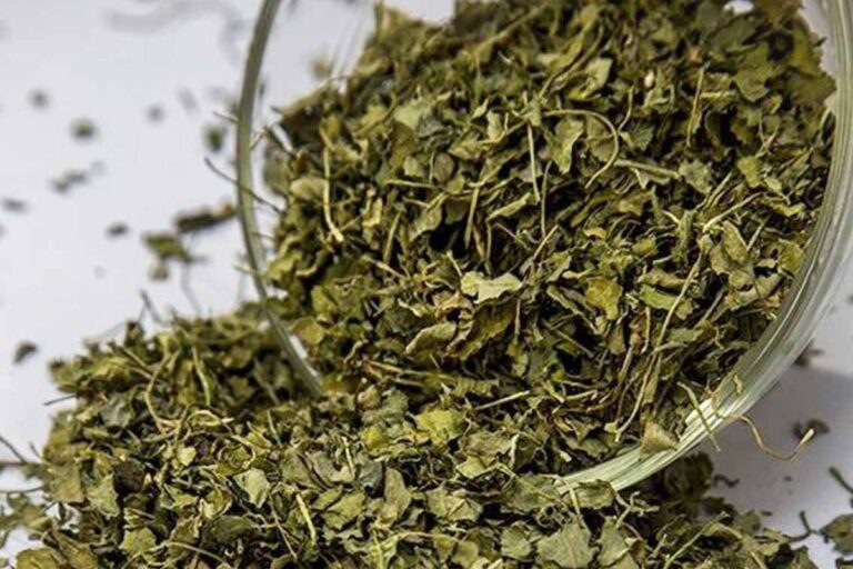 Kasuri Methi Powder: घर पर मार्केट जैसा कसूरी मेथी पाउडर बनाना है बहुत आसान – ईजी स्टेप्स में करें तैयार