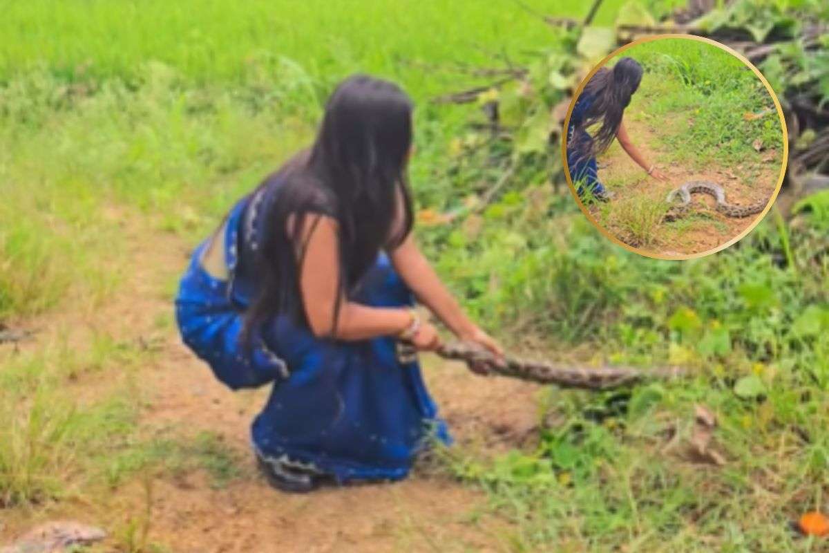 woman catches python