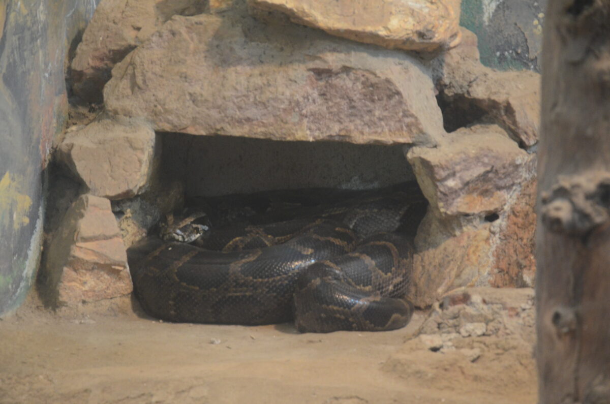 09Pat 153 09122025 2