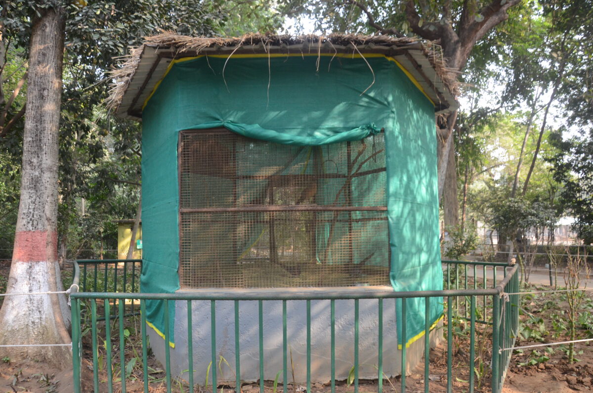 09Pat 156 09122025 2