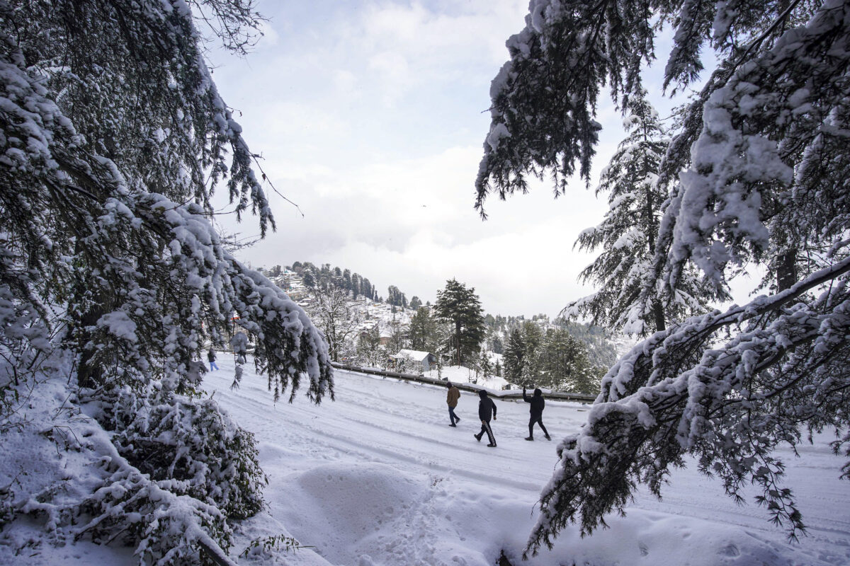 14,15,16 और 17 दिसंबर तक बर्फबारी की संभावना, घना कोहरा और कड़ाके की सर्दी, मौसम फिर ले रहा करवट 7 24121 Pti12 24 2024 000104A 1