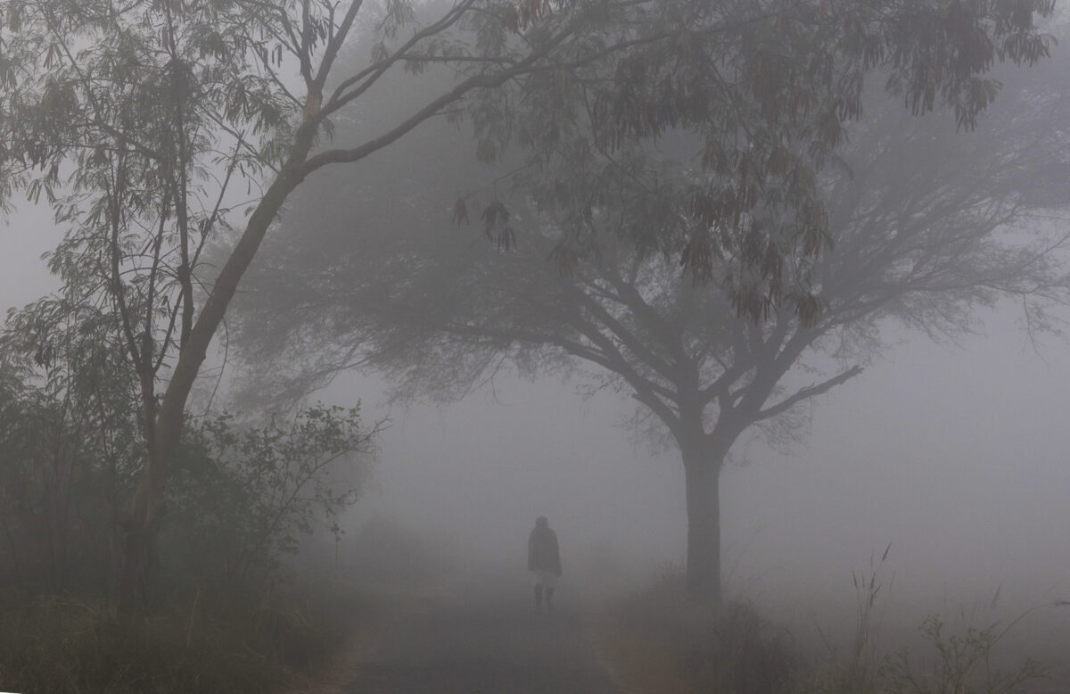 25111 pti11 25 2025 000050b