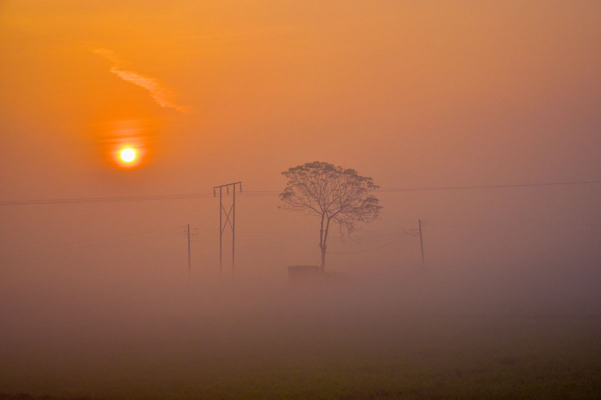 Cold Alert: अगले 72 घंटे में घने से बहुत घना कोहरा, दिल्ली-यूपी समेत इन राज्यों में कोल्ड अलर्ट 5 Aaj Ka Mausam 1 8