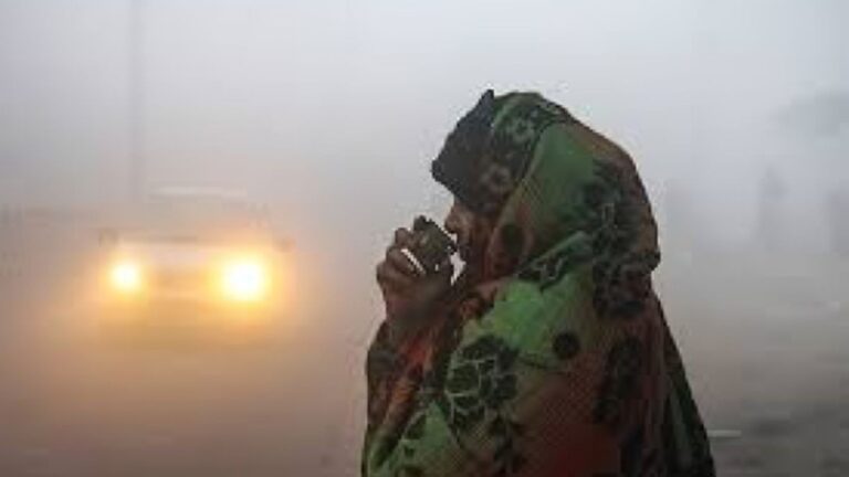 Aaj Bihar Ka Mausam: बिहार में 8 डिग्री पर पहुंचा पारा, कनकनी बढ़ी; रोहतास में शीतलहर का अलर्ट