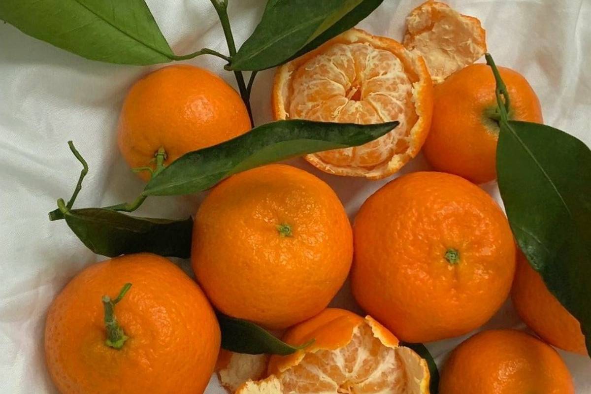 Amazing Health Benefits Of Orange Peels Min