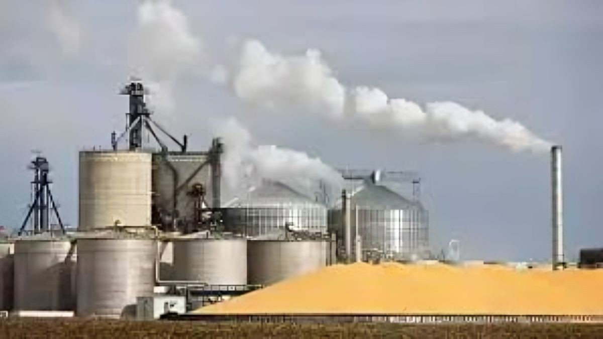 Bihar News: खुशखबरी! बिहार के इस जिले में लगेगा एशिया का सबसे बड़ा अनाज इथेनॉल प्लांट, 10,000 लोगों को मिलेगी सीधी नौकरी