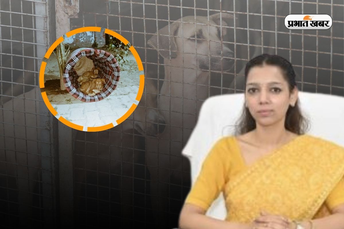 Baghpat DM Asmita Lal Success Story