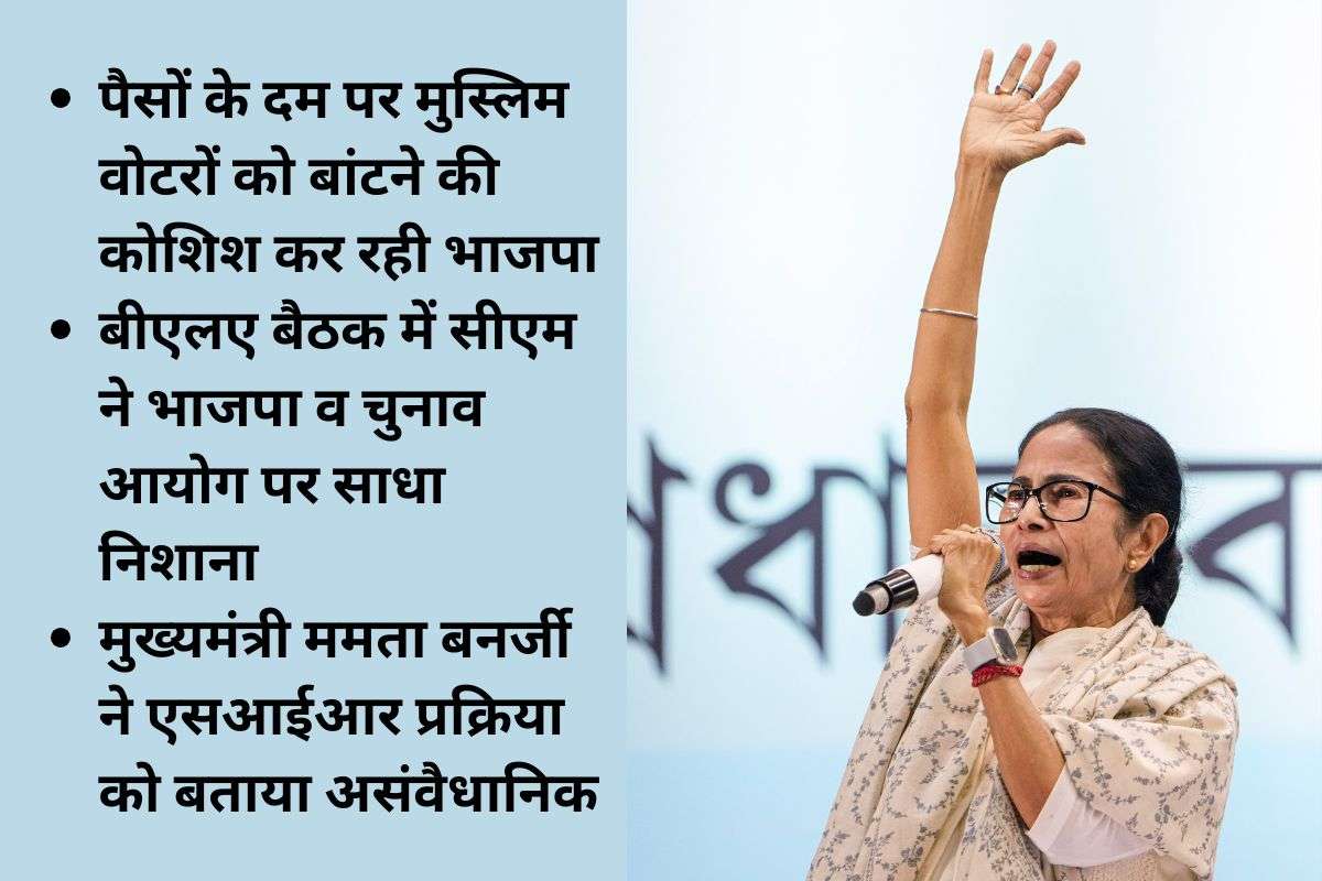 Bengal Politics Mamata Banerjee On Bjp Muslim Vote 1