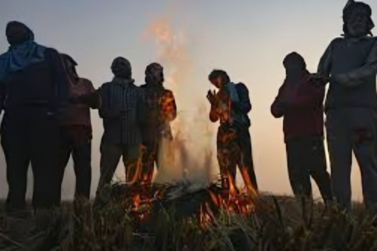 Bihar Ka Mausam: बिहार में कड़ाके की ठंड, 4 दिनों से धूप गायब, इन जिलों में Cold Day का ऑरेंज अलर्ट, गया में पारा 8°C तक लुढ़का