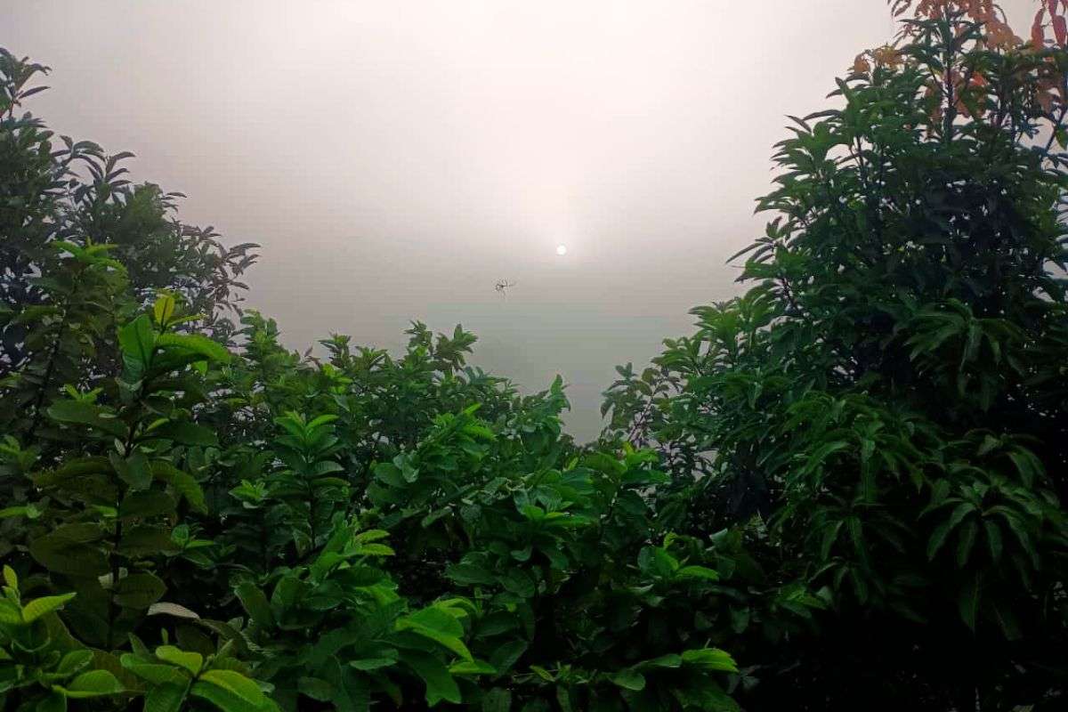 Cold Wave Jharkhand weather forecast