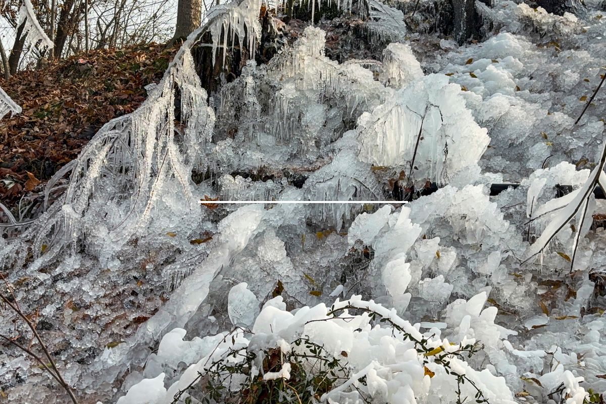 Heavy Rain Alert: अगले 5 दिनों तक कई राज्यों में बारिश अलर्ट, जमकर बरसेंगे बादल, गरज-चमक के साथ तूफानी हवा 4 Coldwave 3