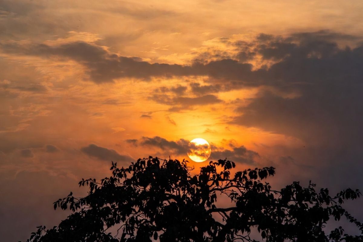 Color Of Sun: आधा भारत नहीं जानता सूर्य पीला है या सफेद? जानिए कैसा दिखता है सूरज 2 Color Of Sun 5 1