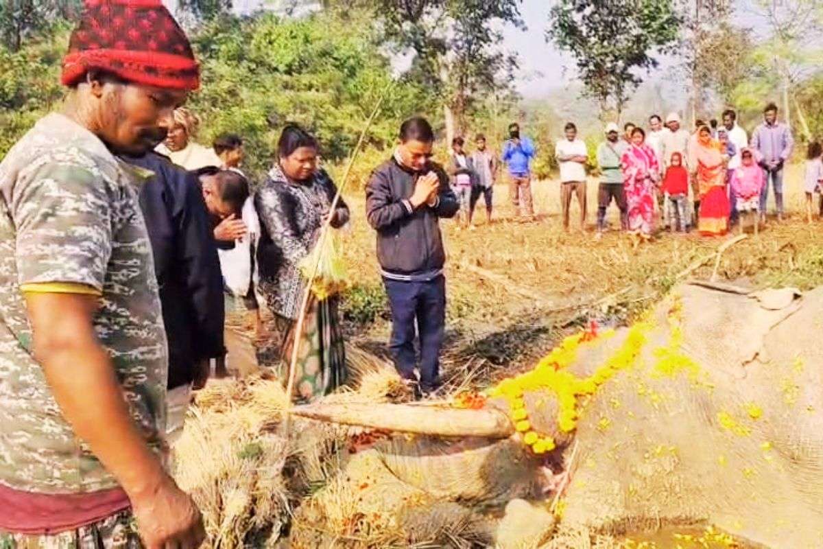 Elephant Death In Chandil Seraikela Kharsawan