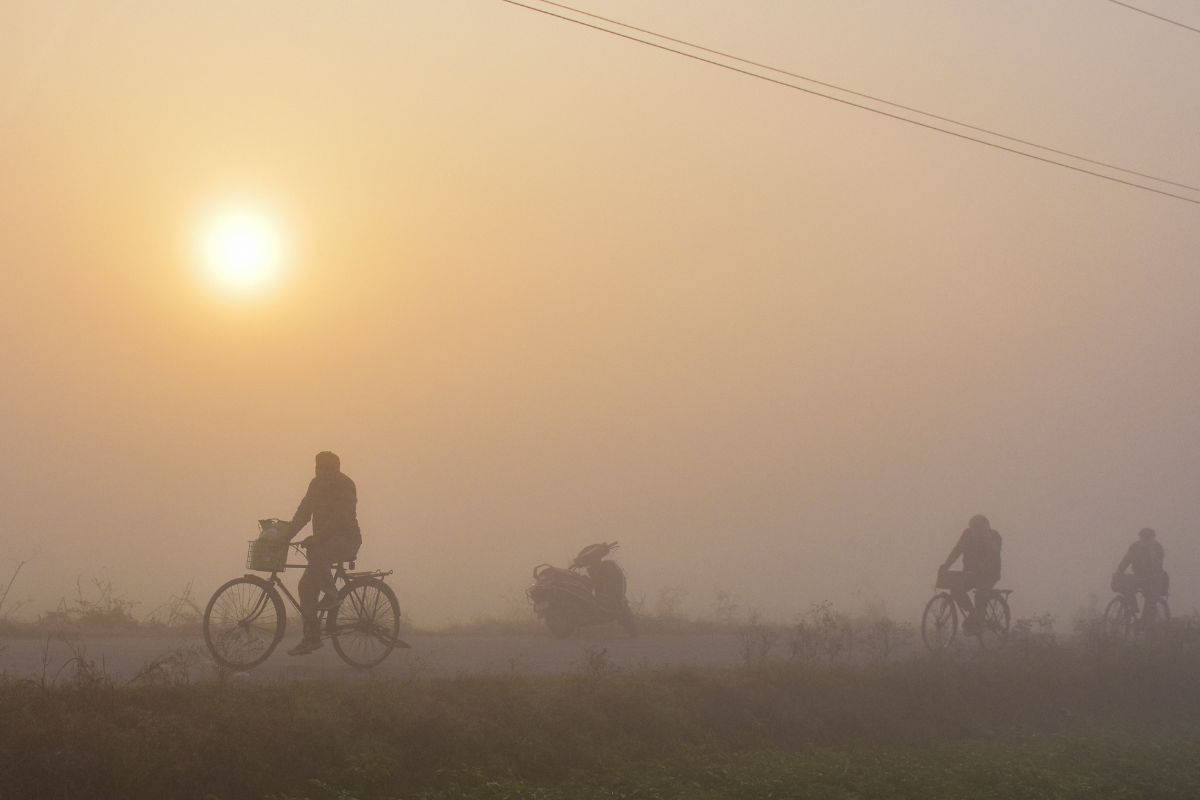 Cold Alert: अगले 72 घंटे में घने से बहुत घना कोहरा, दिल्ली-यूपी समेत इन राज्यों में कोल्ड अलर्ट 4 Imd Alert 1 4