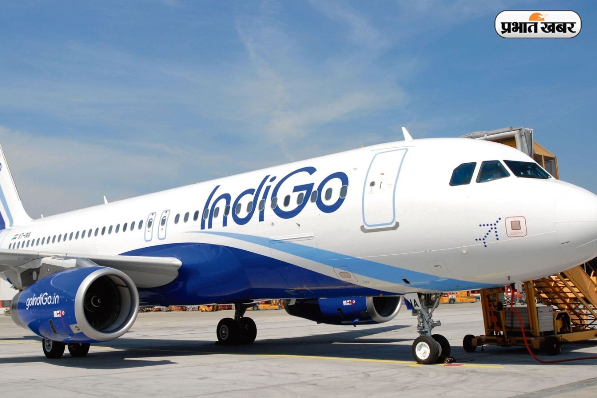 Indigo Share Price
