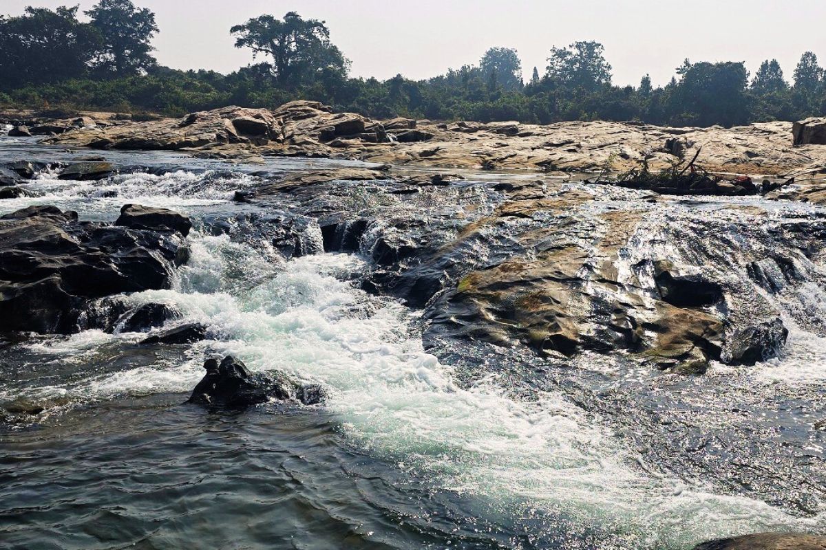Maa Bhadrakali Mandir Jharkhand News