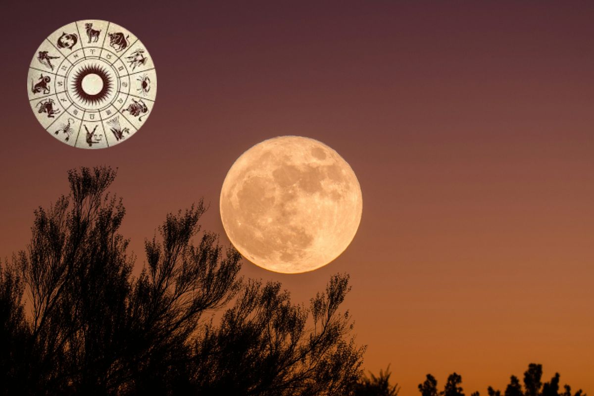 Margashirsha Purnima 2025 Rashifal Effect