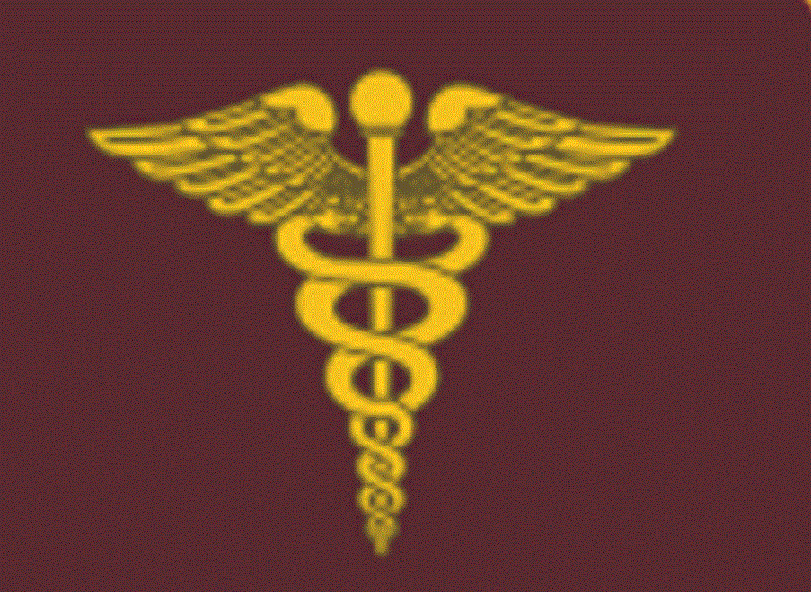 Parliament: नया चिकित्सा प्रतीक निर्धारित करने की मांग 1 Medical