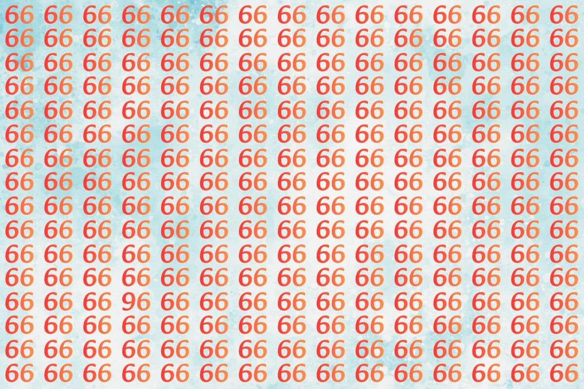 इस ऑप्टिकल इल्यूजन फोटो में 96 ढूंढिए