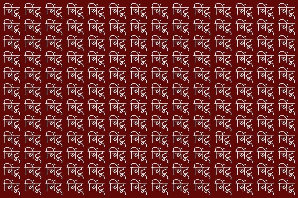 Optical Illusion Pintu