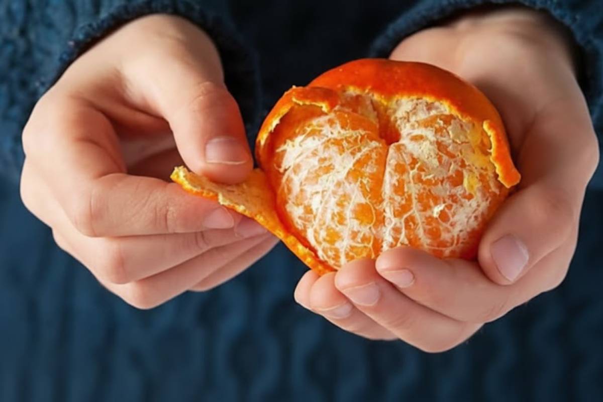 Orange Peel Health Benefits