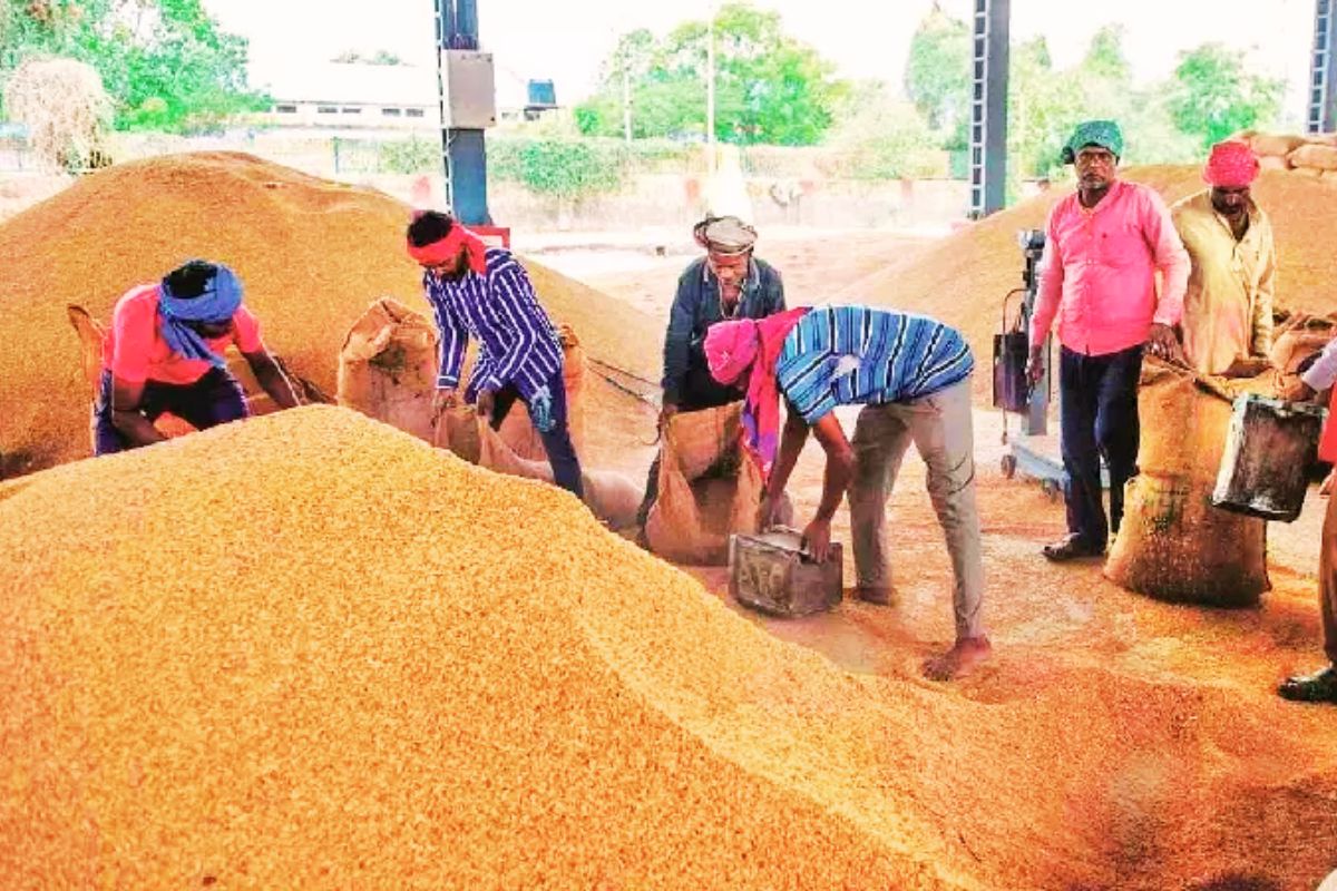 Paddy Procurement News Jharkhand Topday
