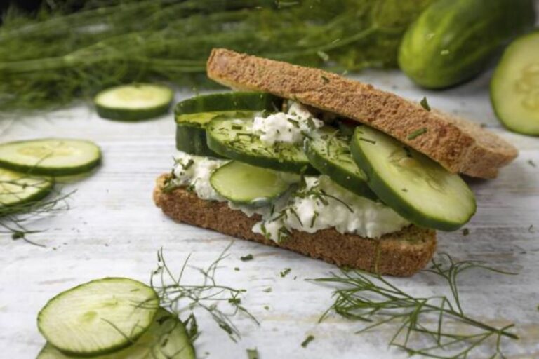 Paneer Cucumber Dill Toast: ब्रेकफास्ट में फटाफट बना लें सुपर टेस्टी पनीर खीरा डिल टोस्ट, बहुत आसान है रेसिपी